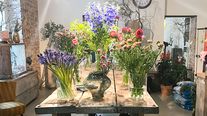 11 schöne Blumenläden in Köln Mit Vergnügen Köln