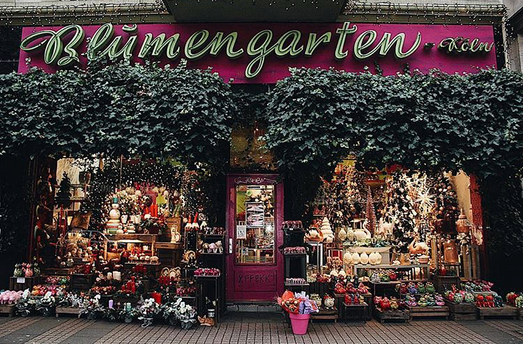 Blumengarten Kölns vielleicht bekannstester Blumenladen Mit