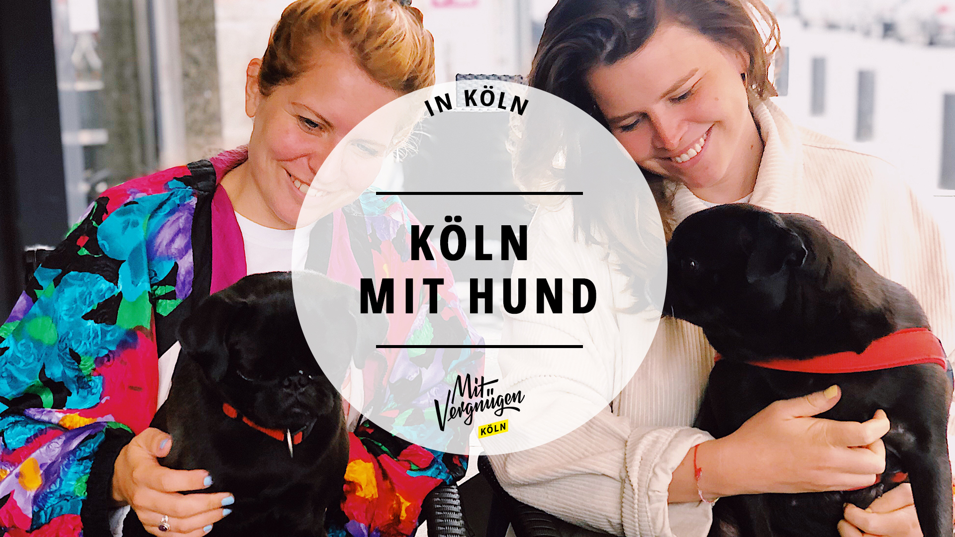 11 Orte Für Hunde In Köln Mit Vergnügen Köln