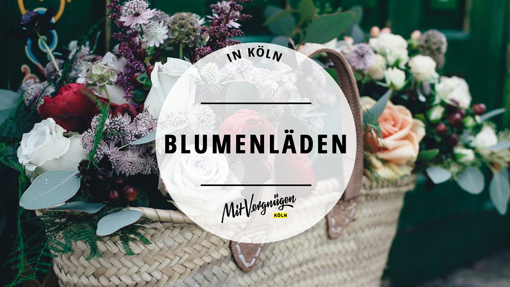 11 Läden in Köln, in denen ihr tolle Pflanzen kaufen könnt Mit