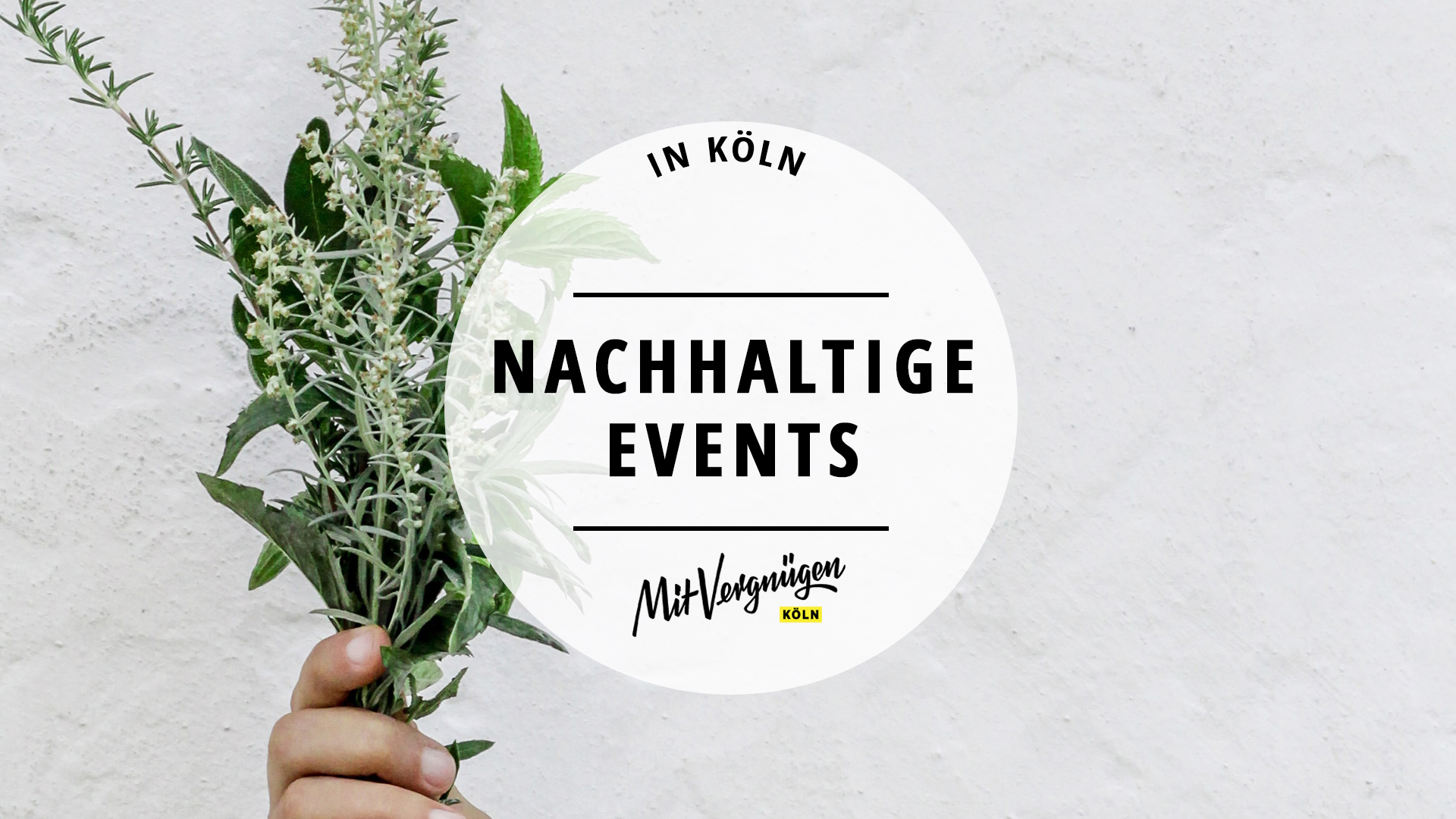 11 Nachhaltige Events In Köln Auf Die Wir Uns Im Sommer 2019 Freuen Mit Vergnügen Köln 8960