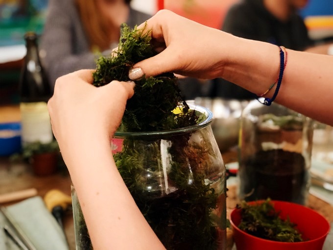 Glas-Terrarien bepflanzen mit Glasgärten: Ein Workshop für alle ohne