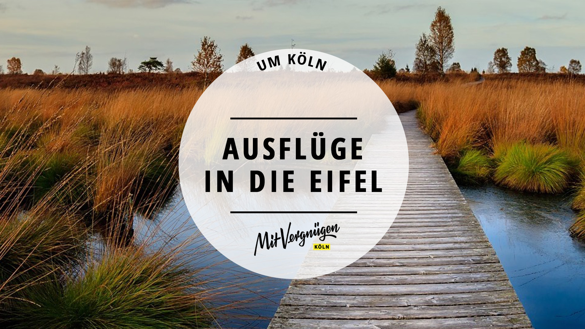 Eifel mit Kindern: 19 Ausflugsziele für Familien