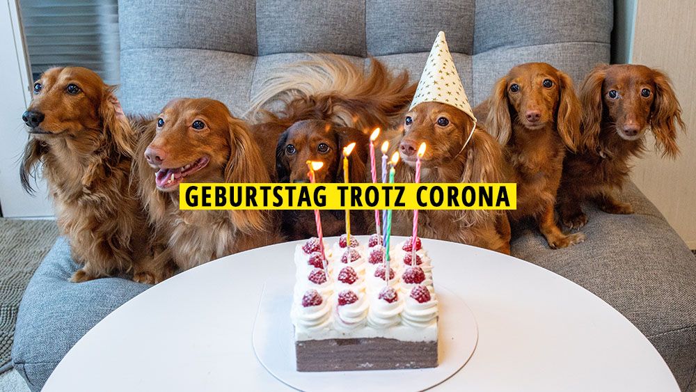 geburtstag trotz corona 11 ideen wie du dir einen schonen tag machen kannst mit vergnugen koln