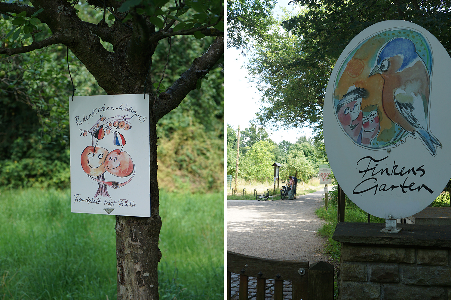 Natur erleben in Finkens Garten Mit Vergnügen Köln