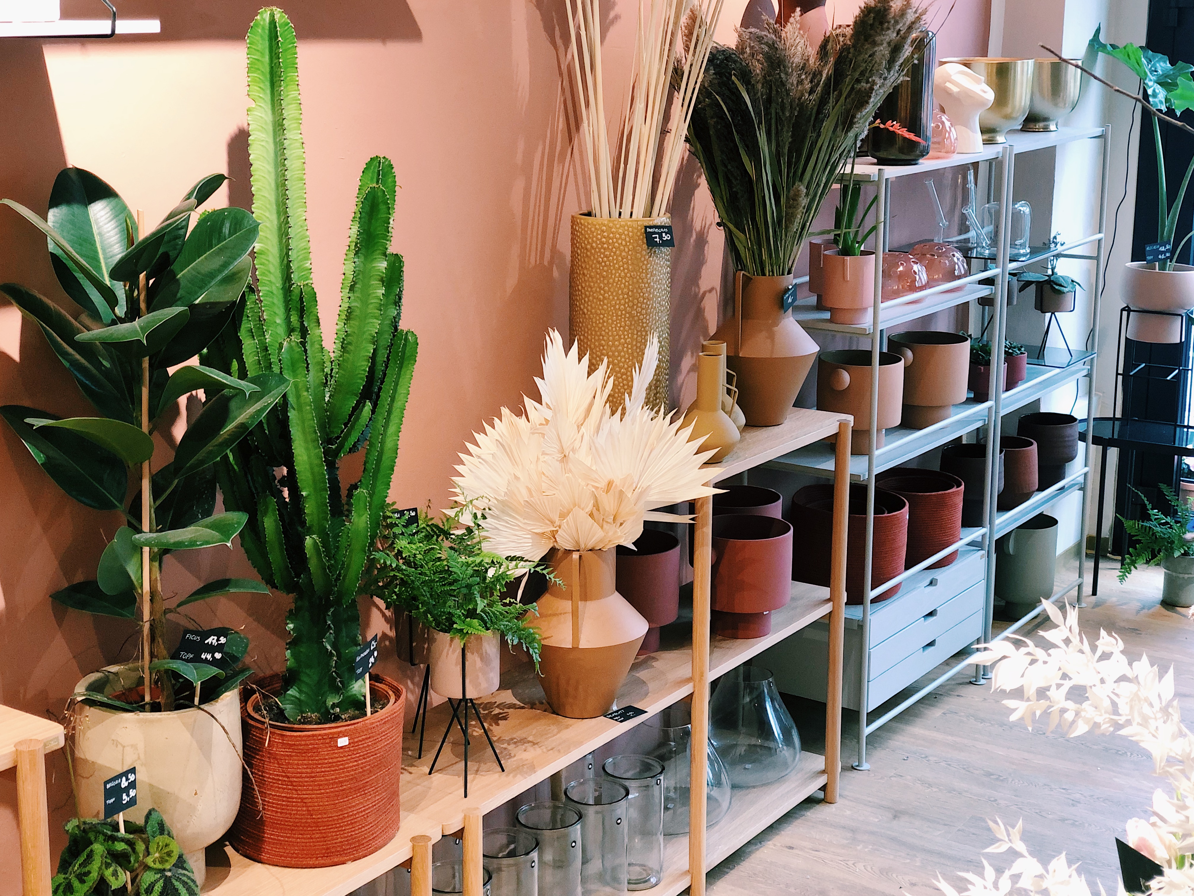 Blumen, Pflanzen und Interior bei Feather & Fern | Mit Vergngen Kln