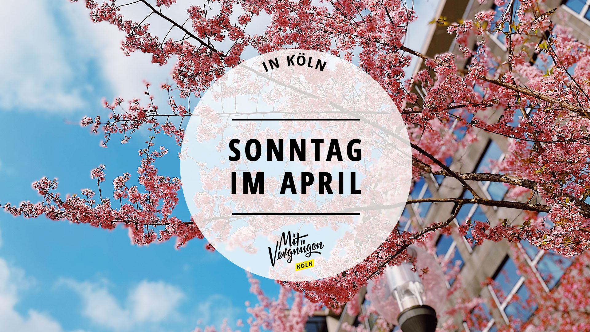 #11 Dinge, die ihr an einem Sonntag im April in Köln machen könnt