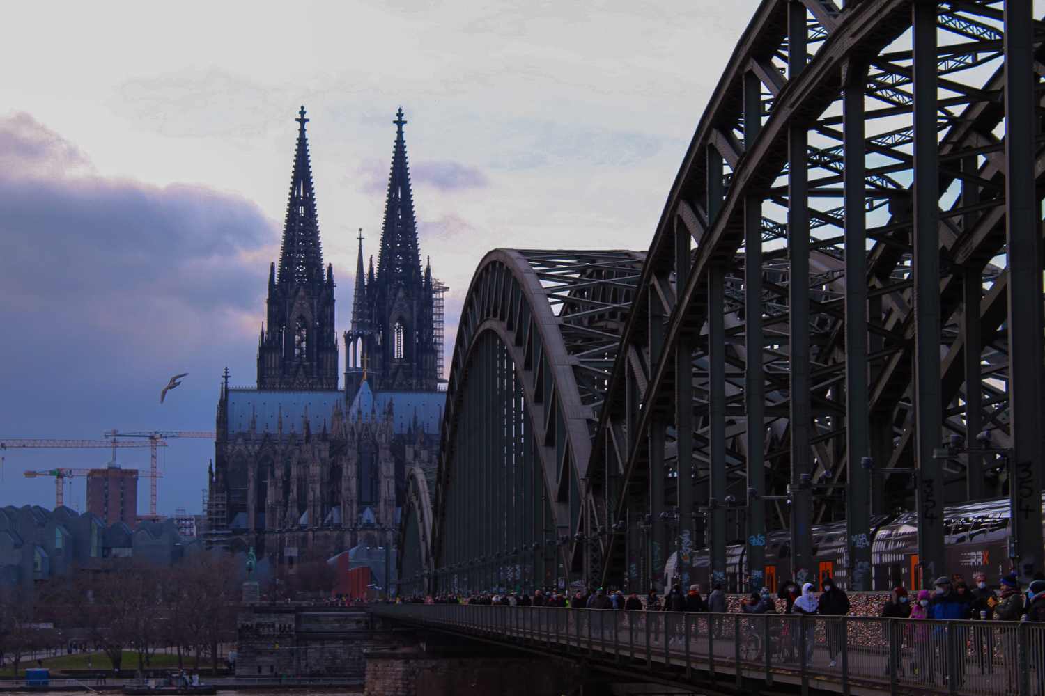 #Wochenvorschau: Handball-EM, Erweiterung der Hohenzollernbrücke und Karnevalsmarkt